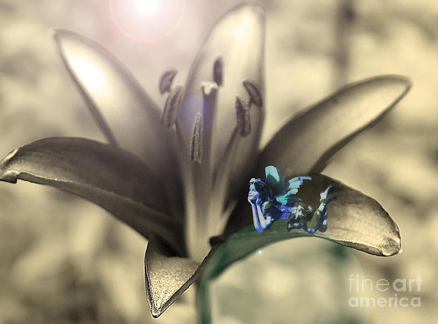 Blue Lily Fairy Photograph by Nina Silver