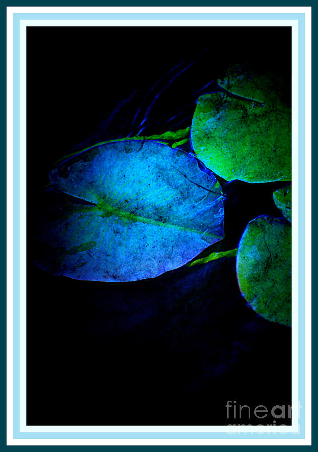 Blue Lily Pad Photograph by Susanne Van Hulst