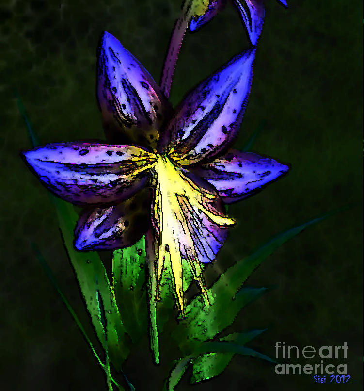 Blue lily2 Digital Art by Susanne Baumann