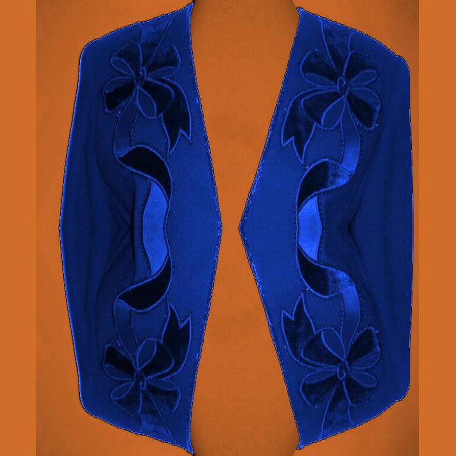 Blue Longer Jacket Digital Art by Mary Russell