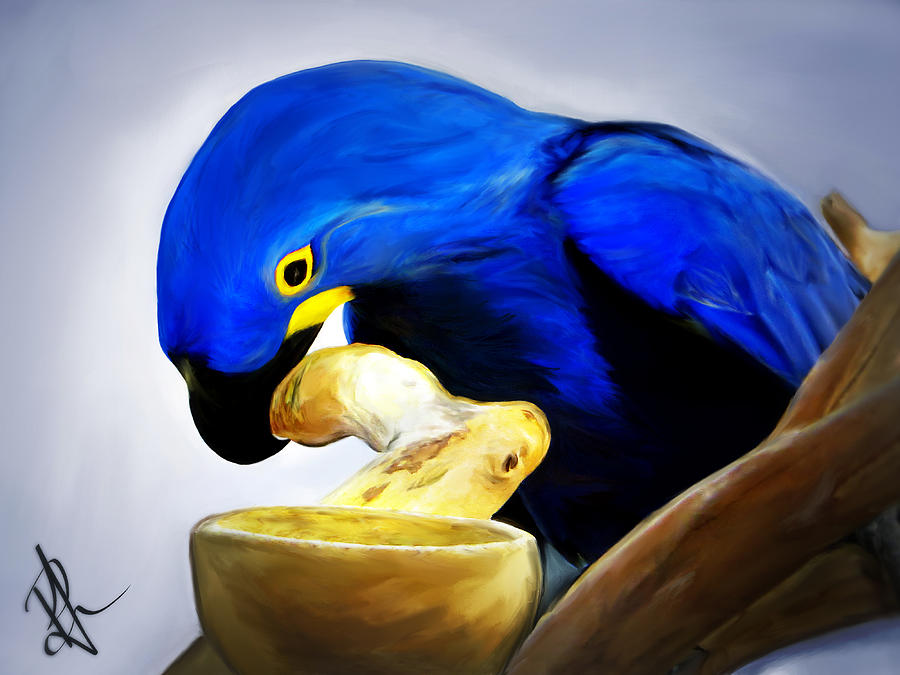 Blue Macaw Photograph by Pennie McCracken