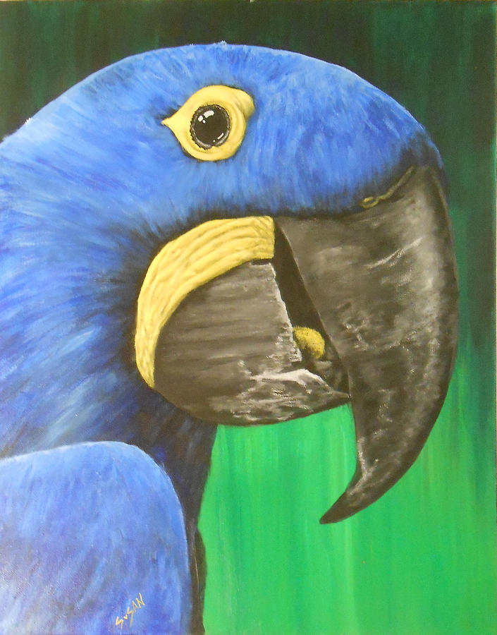 Blue Macaw Painting by Susan Kniffen