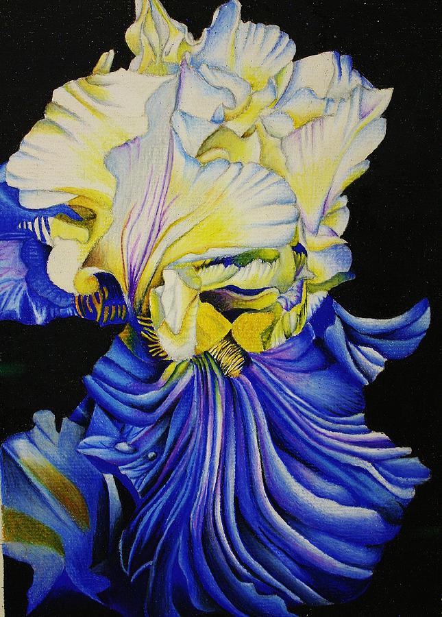 Iris Drawing - Blue Magic by Bruce Bley