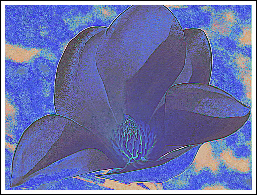 Blue Magnolia Pop Art Photograph by Dora Sofia Caputo