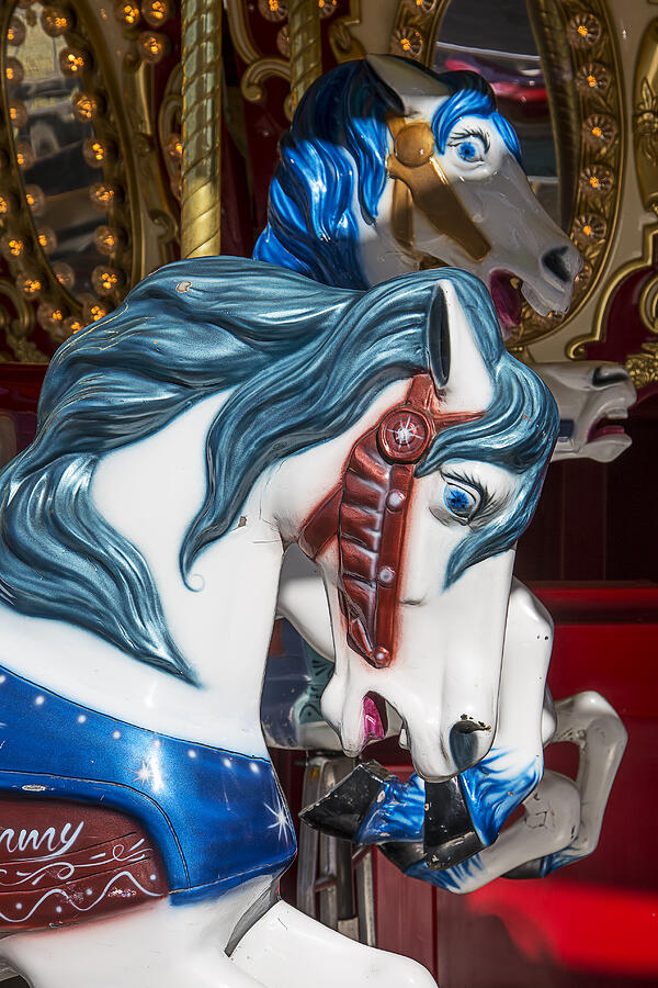Fantasy Photograph - Blue mane carrousel horse by Garry Gay