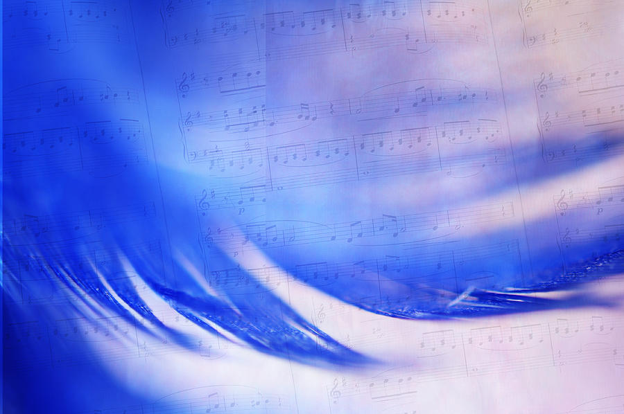 Blue Marvel. Lighten Your Day with Music Photograph by Jenny Rainbow