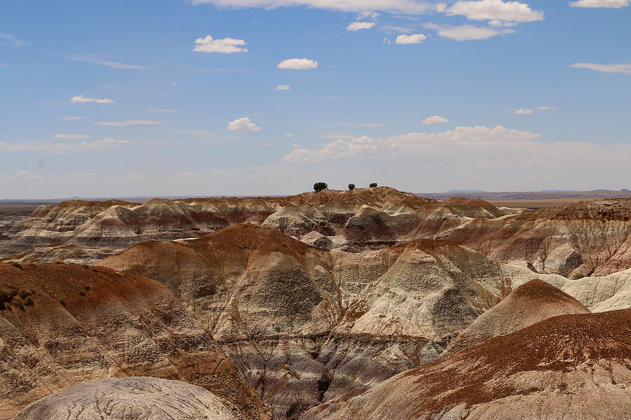 Blue Mesa - Painted Desert Photograph by Christiane Schulze Art And Photography