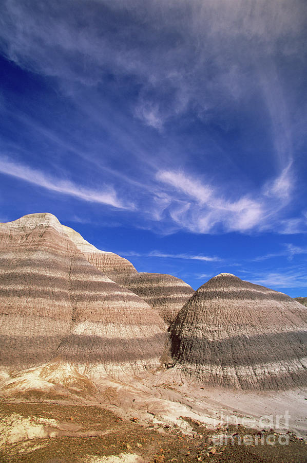 Blue Mesa, Arizona Photograph by Yva Momatiuk John Eastcott