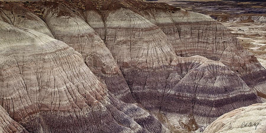 Nature Photograph - Blue Mesa Strata by Phill Doherty
