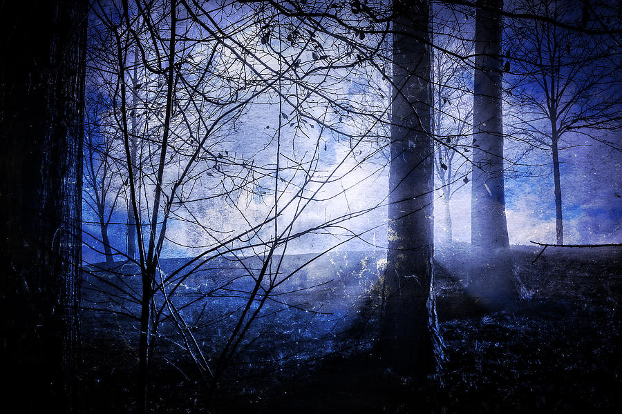 Blue Mist Photograph by Rod Kaye