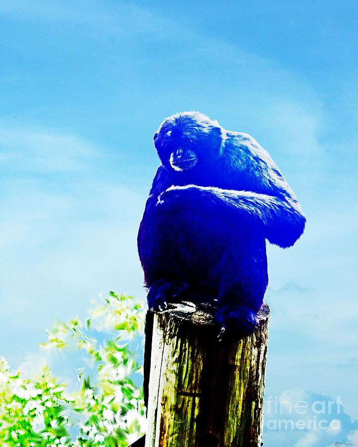 Blue Monkey Digital Art by Lizi Beard-Ward