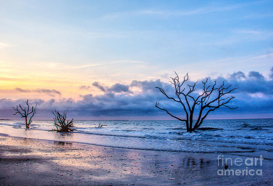 Blue Mood Sunrise Photograph by Irene Dowdy - Fine Art America