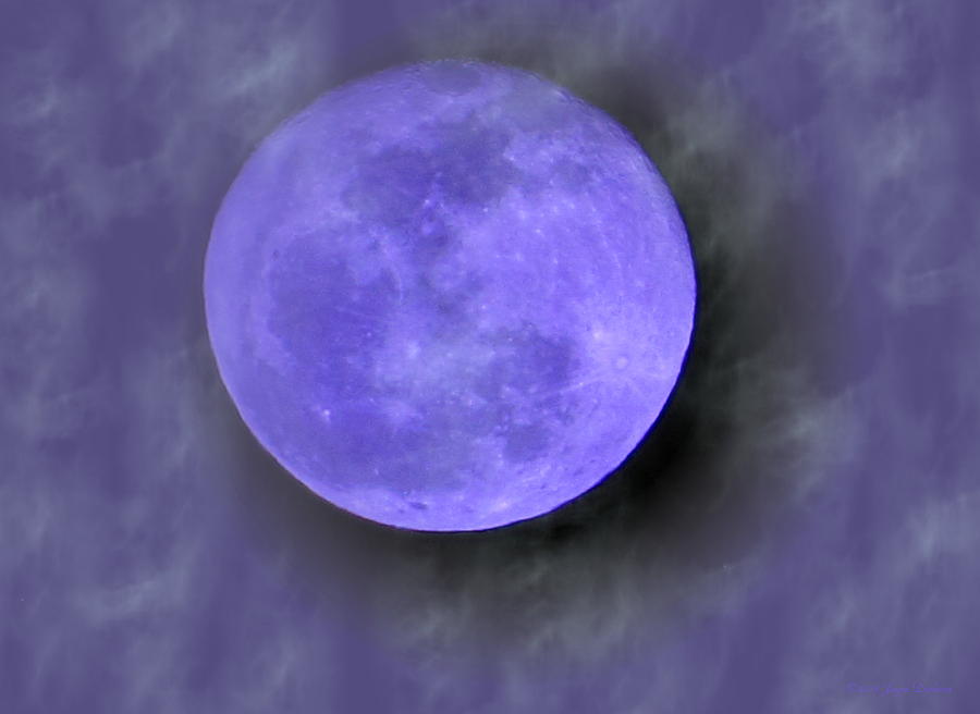 Blue Moon 02 26 13 Photograph by Joyce Dickens