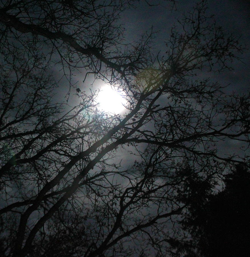 Blue Moon Photograph by Andy Wingerd - Pixels