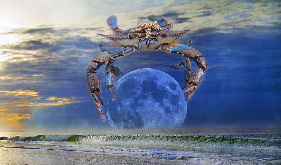 Fantasy Digital Art - Blue Moon Crab by Betsy Knapp