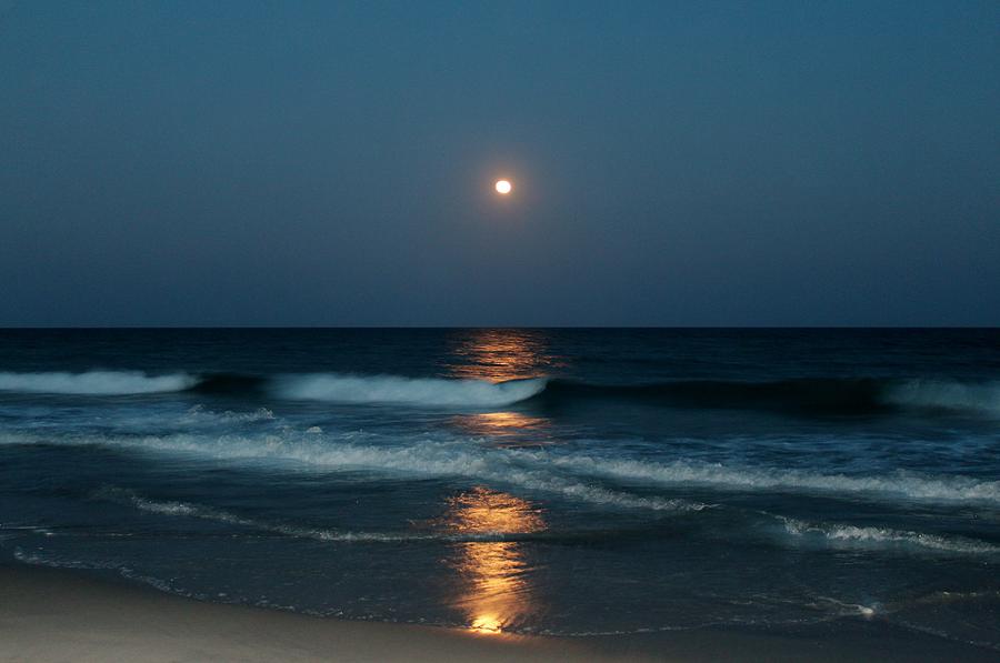 Nature Photograph - Blue Moon by Cynthia Guinn