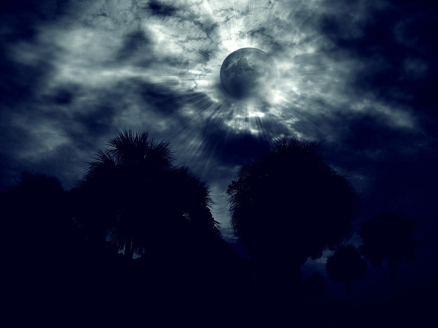 Blue Moon Photograph by Jessica Brawley
