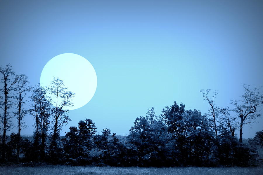 Blue Moon Photograph by Jodie Marie Anne Richardson Traugott          aka jm-ART