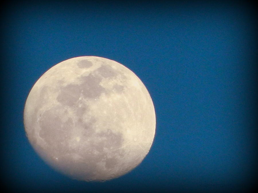 Blue Moon Photograph by Kathy Barney