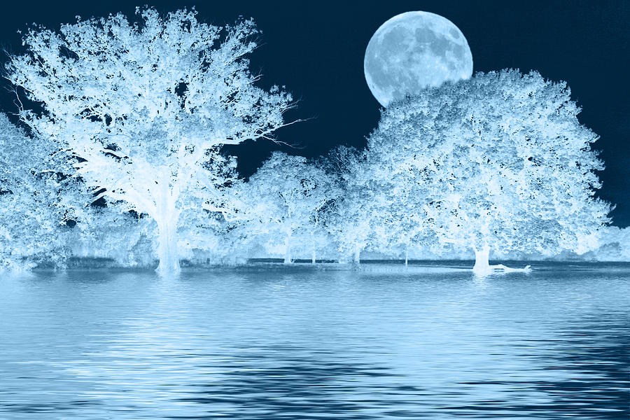 Blue Moon Landscape Photograph by David French