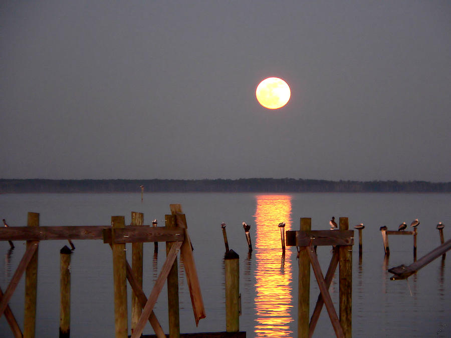 Blue Moon On The Bay On New Years Eve 2009 Photograph by Kathy K McClellan