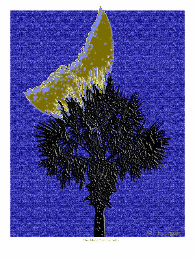 Crescent Moon And  Palmetto  Mixed Media by C F Legette