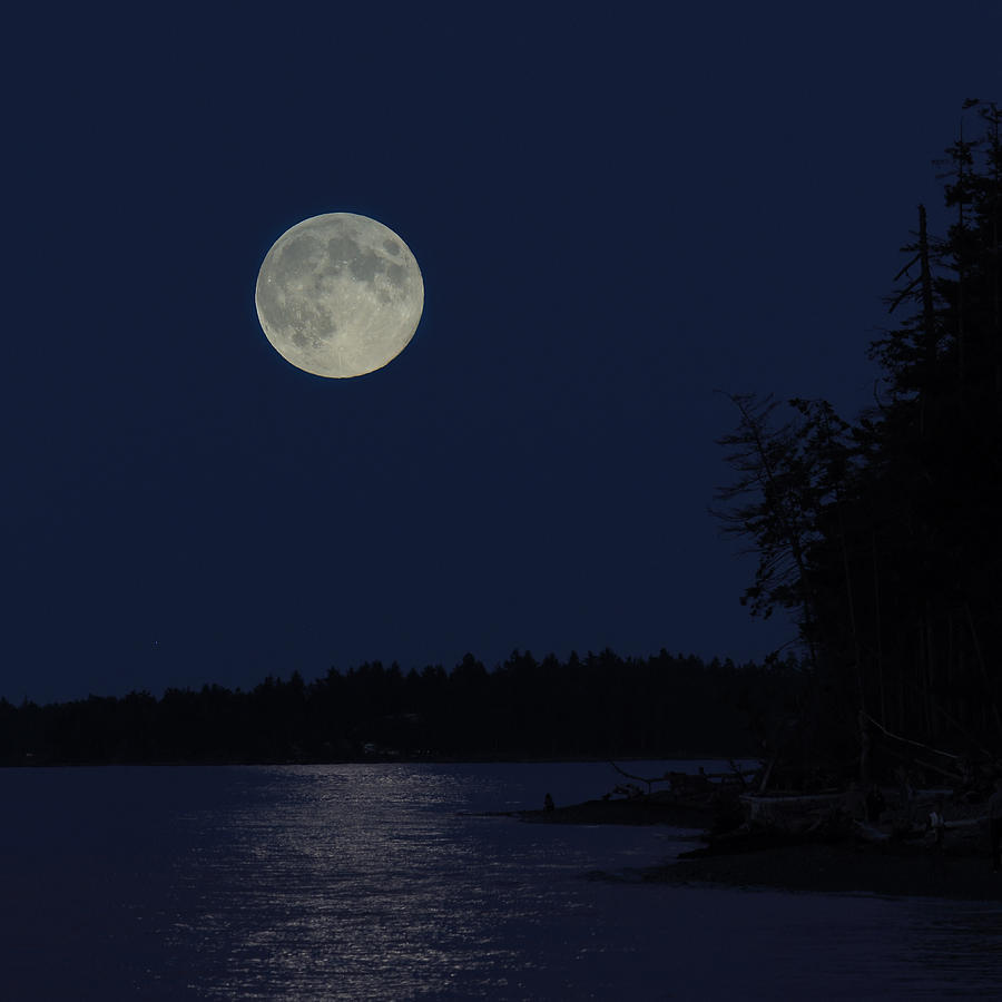 Blue Moon Photograph by Randy Hall