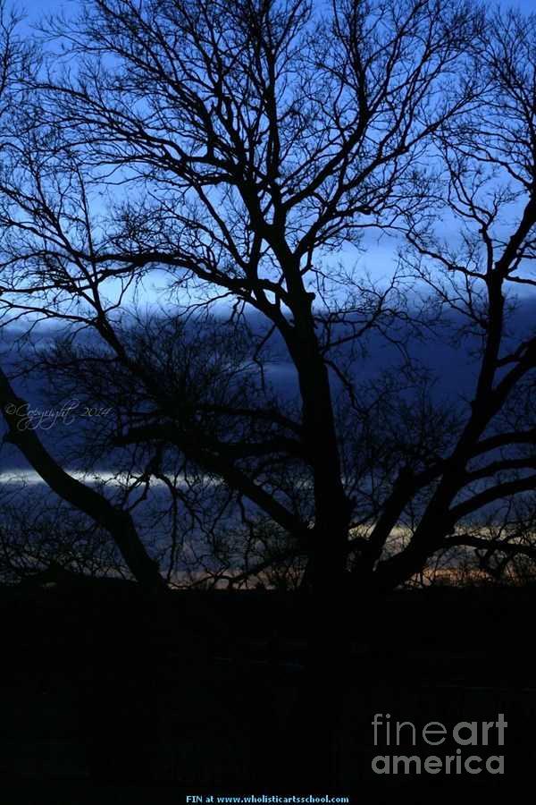 Blue Moon Sunrise Photograph by PainterArtist FIN