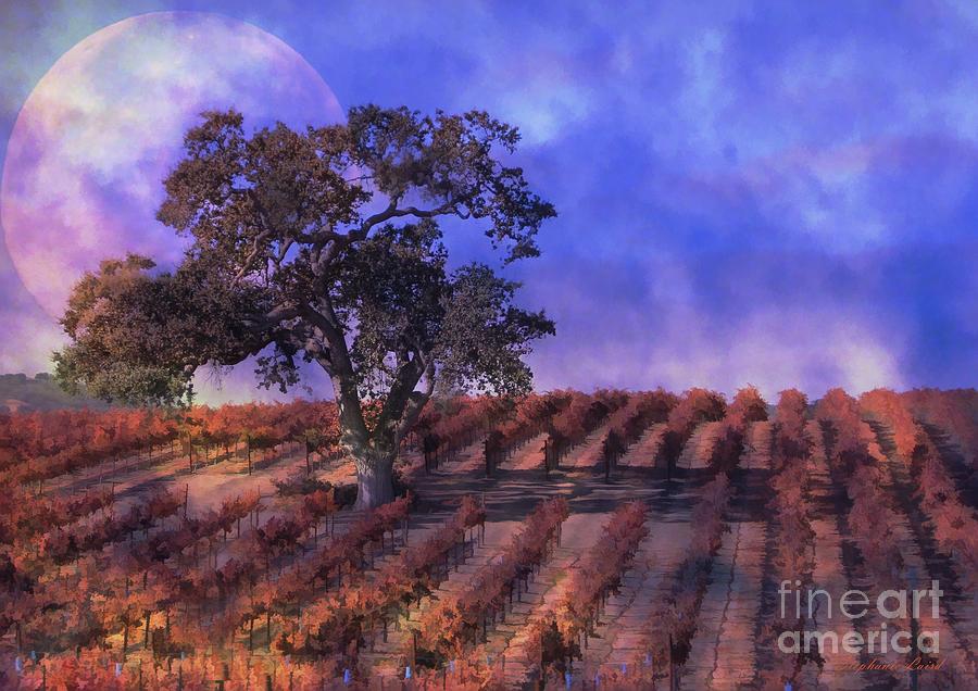 Grape Photograph - Blue Moon Vineyard by Stephanie Laird
