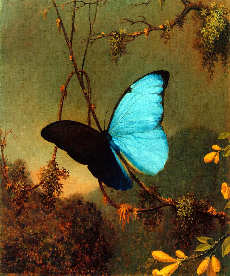 Martin Johnson Heade Painting - Blue Morpho Butterfly by Martin Johnson Heade