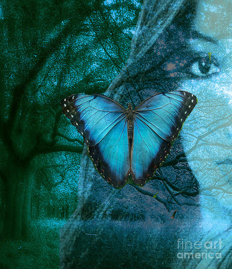 Blue Morpho Digital Art by Maureen Tillman