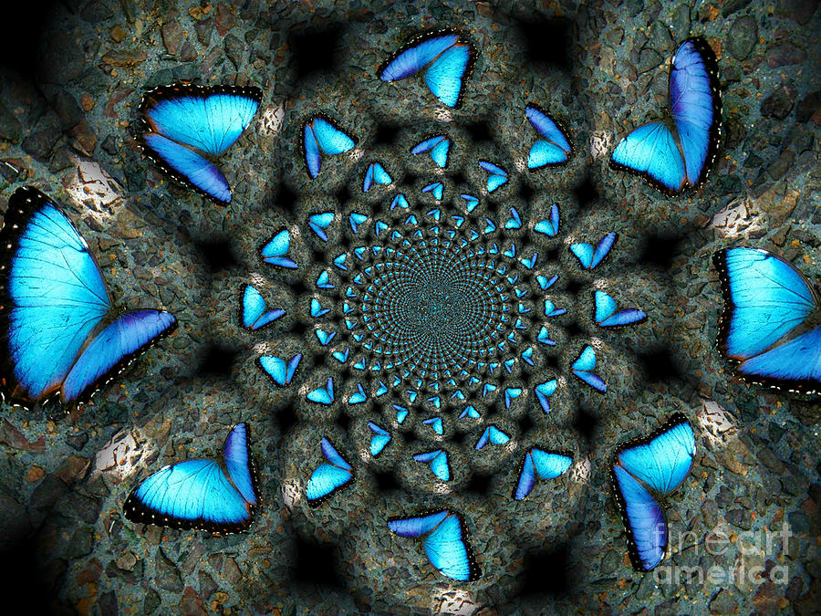 Blue Morpho Morphed Photograph by Deb Schense