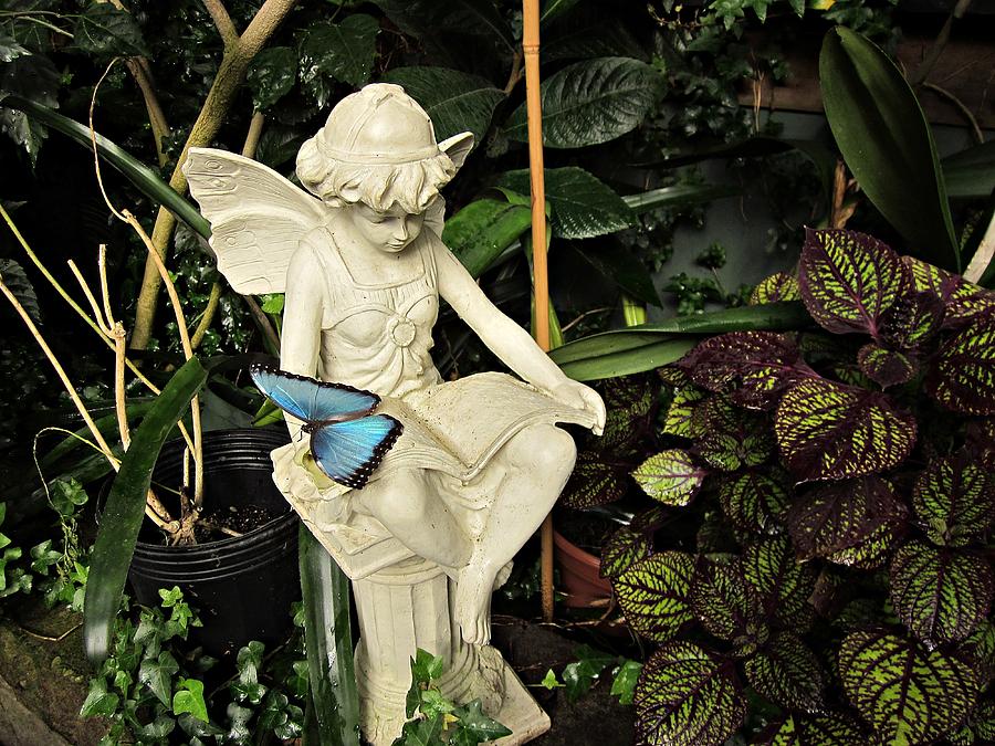 Blue Morpho on Statue Photograph by MTBobbins Photography