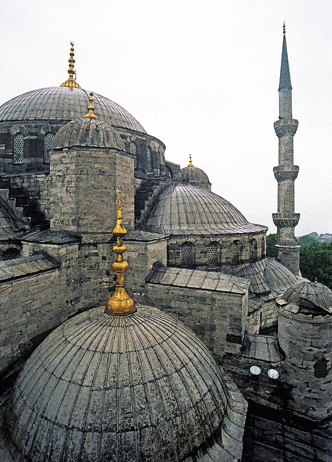 Blue Mosque dome tops Photograph by Dennis Cox