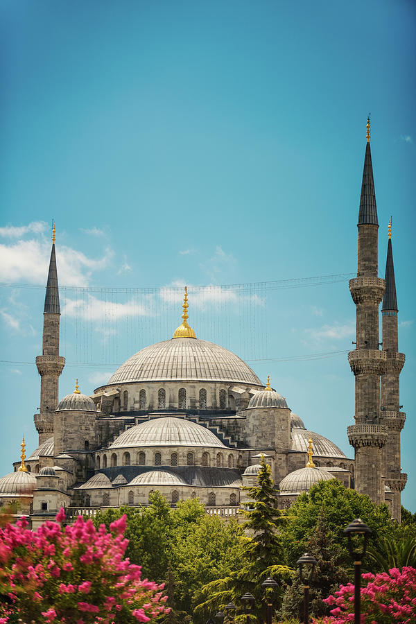 Blue Mosque In Istanbul Photograph by Pixedeli