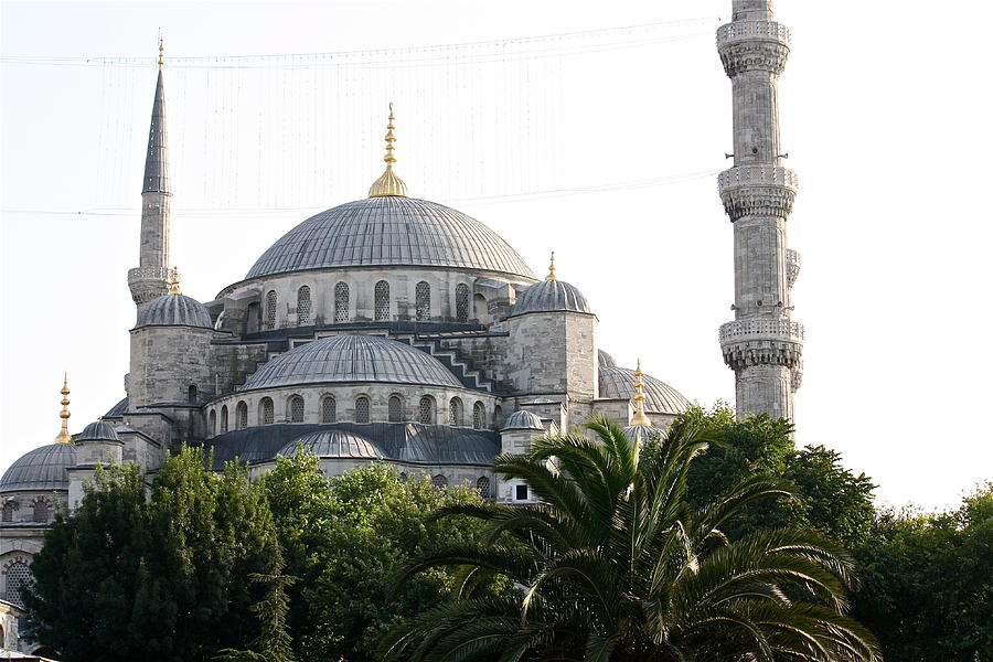 Turkey Photograph - Blue Mosque by Valerie Tull
