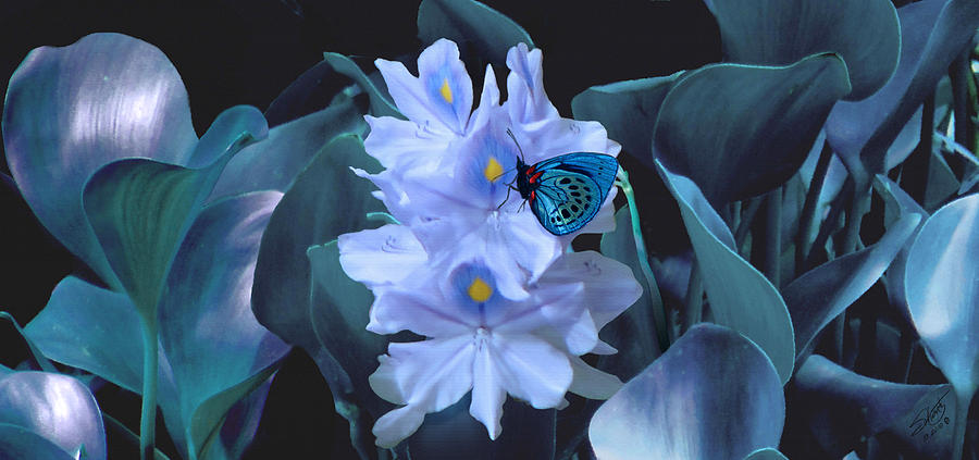 Blue Moth and Hyacinth Photograph by M Spadecaller