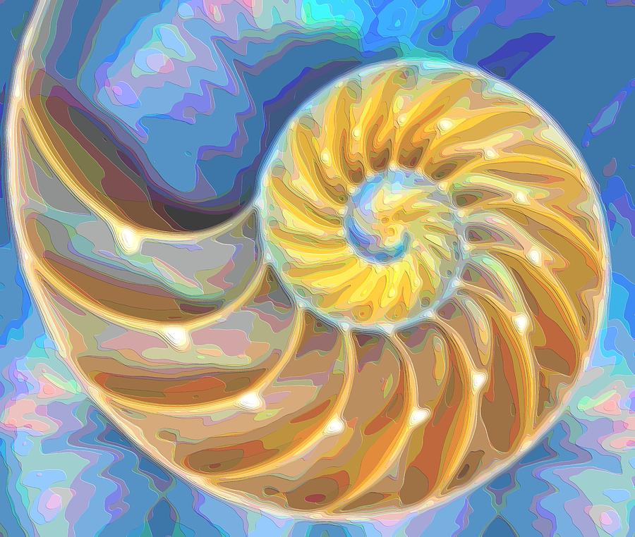 Blue Nautilus Seashell Digital Art By Mary Clanahan - Fine Art America