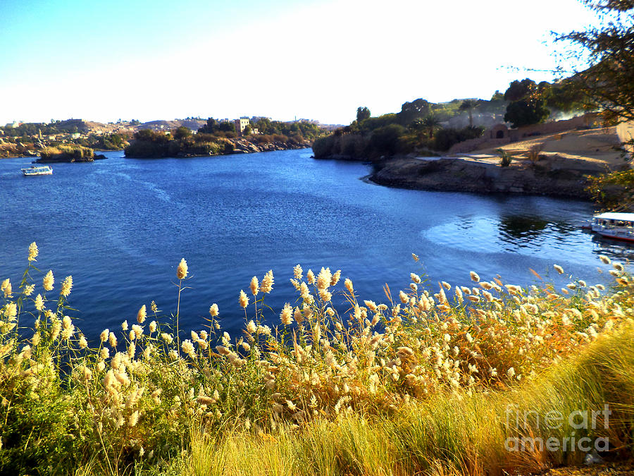 Blue Nile River Egypt Photograph by Cimorene Photography