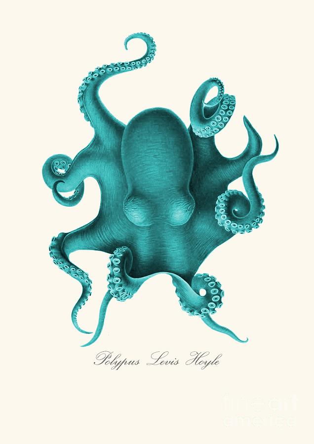 Blue Octopus Drawing - Blue Octopus by Patruschka Hetterschij