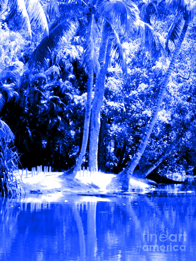 Blue view. Palm trees  and water Photograph by Oksana Semenchenko