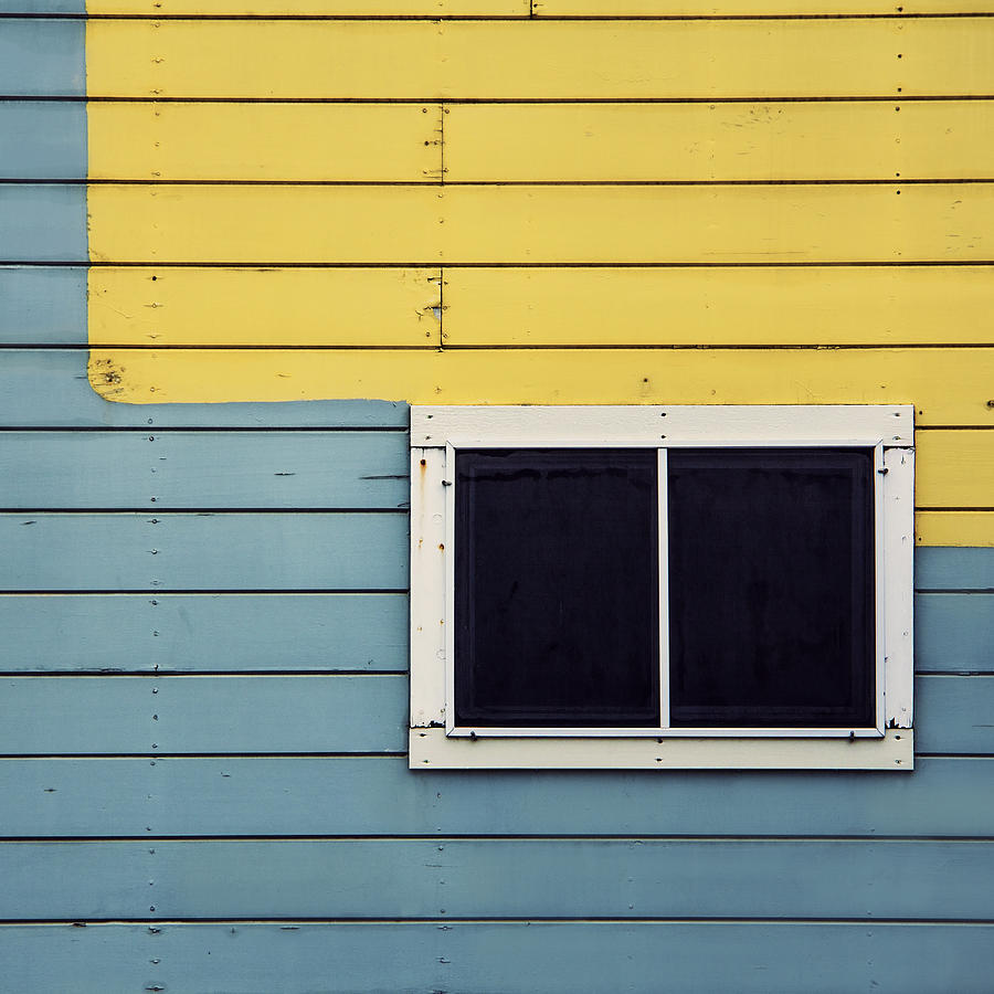 Blue On Yellow Photograph by Lee Harland