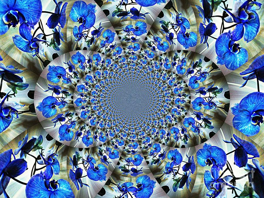 Blue Orchid Kaleidoscope Photograph by Judy Palkimas
