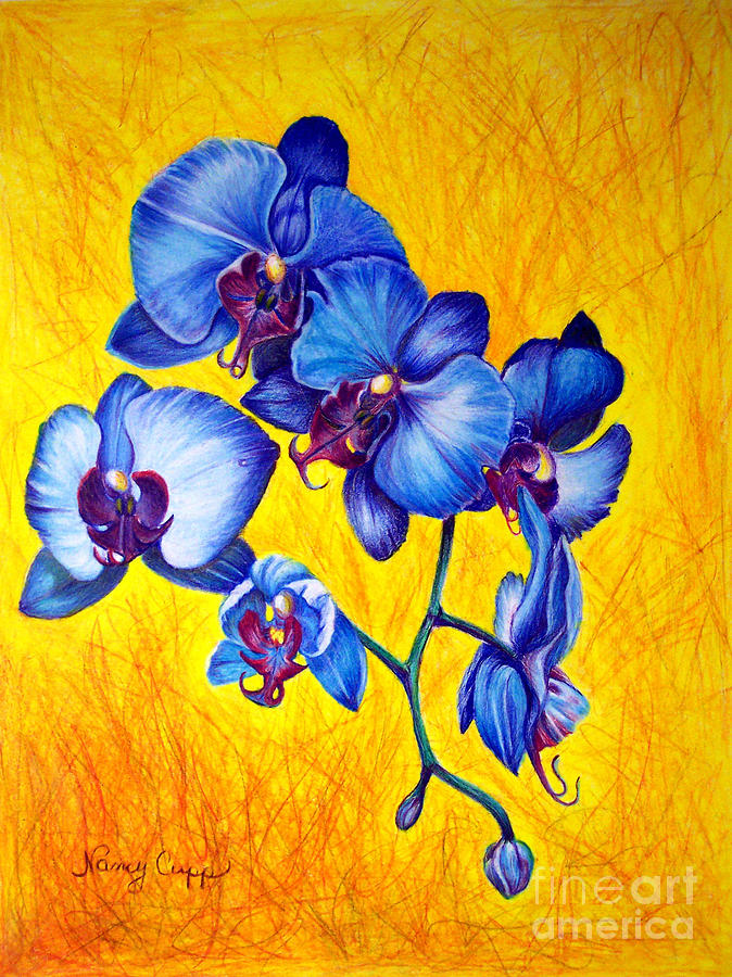 Orchid Painting - Blue Orchids 1 by Nancy Cupp
