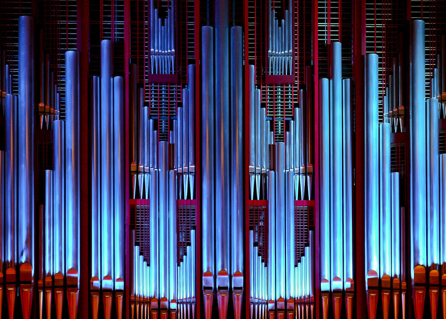 Blue organ pipes Photograph by Jenny Setchell