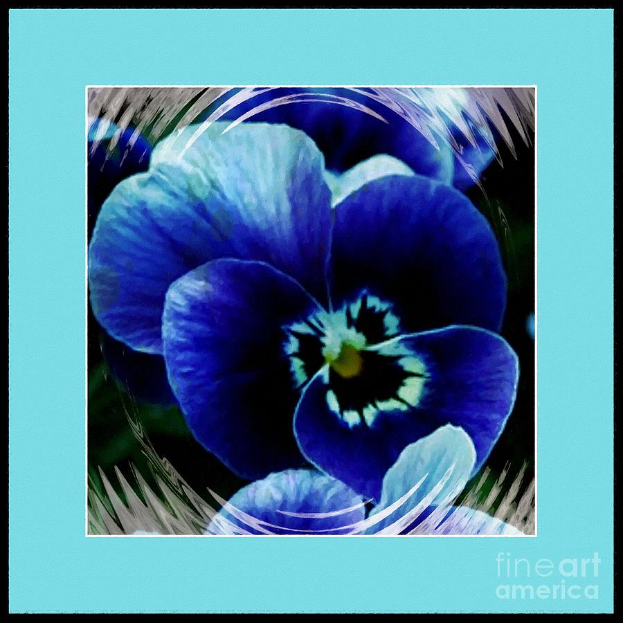 Blue Pansy with Border and Swirls Photograph by Barbara A Griffin