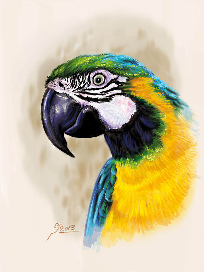 Parrot Digital Art - Blue Parrot by Reza Daliloltejari