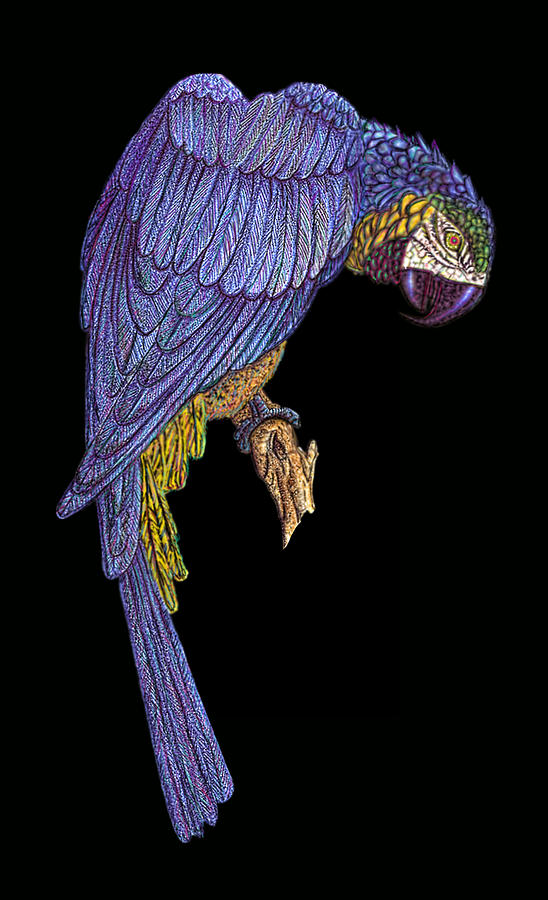 Blue Parrot Wall art Digital Art by Walter Colvin