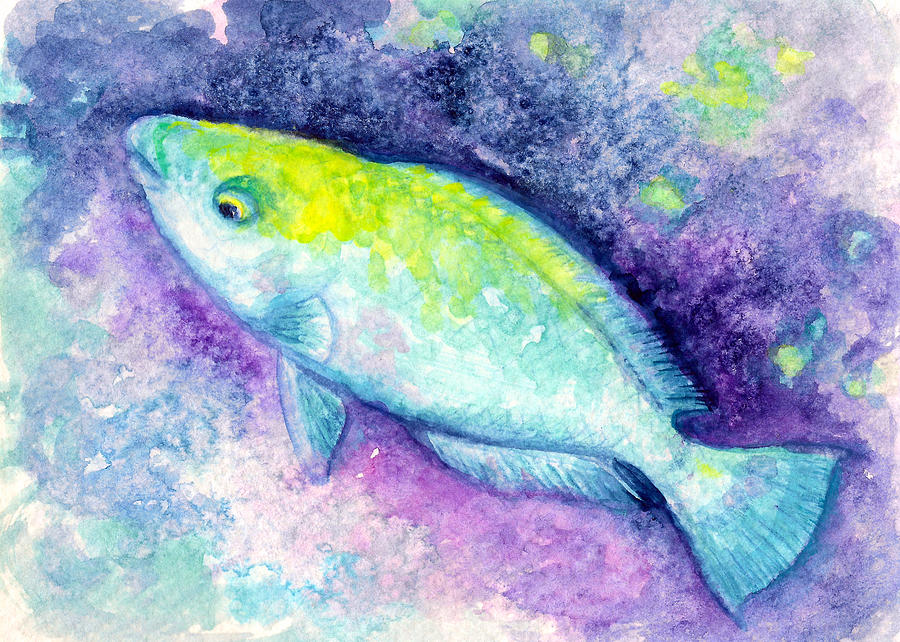 Blue Parrotfish Painting by Ashley Kujan