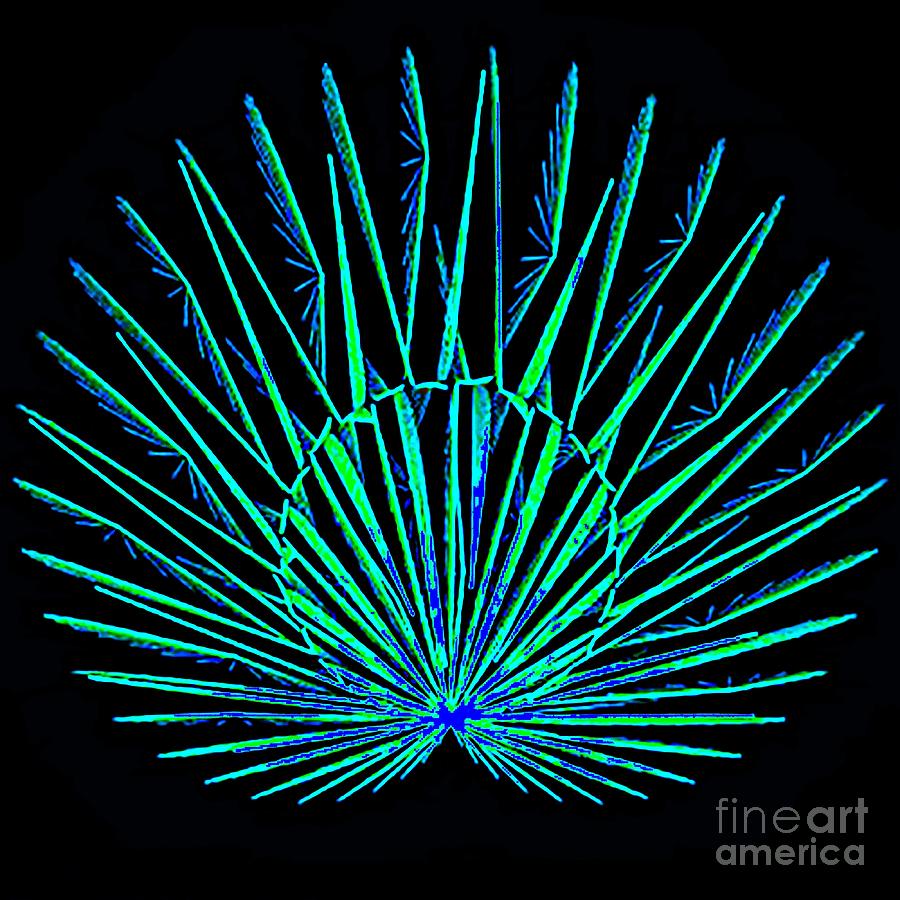 Blue Peacock Digital Art